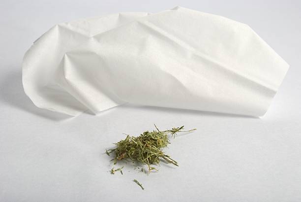Patch of dried grass clippings and tissue on white