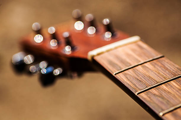 istock Dirty fretboard 510976499