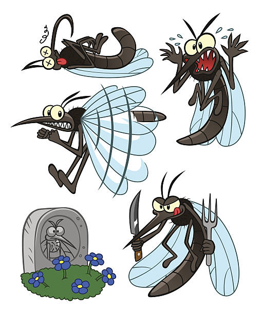 ilustraciones, imágenes clip art, dibujos animados e iconos de stock de mosquito de - mosca insecto ilustraciones
