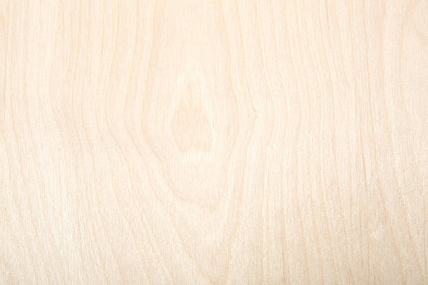 istock Close up of wood, studio 510981481