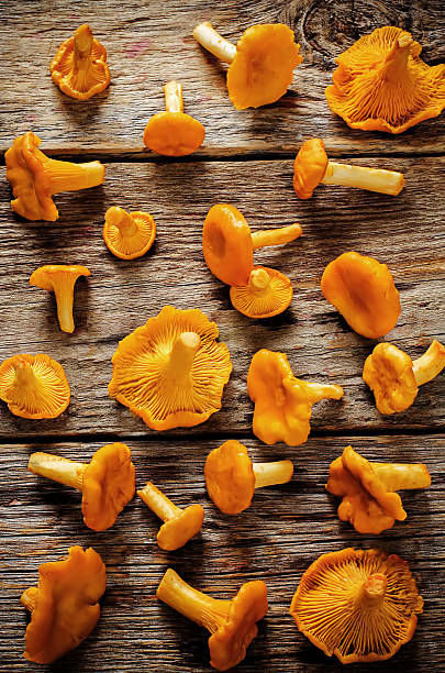 istock chanterelle mushrooms 510996549