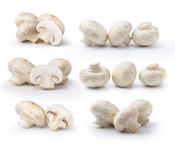 istock champignon mushroom  isolated on white background 510997105