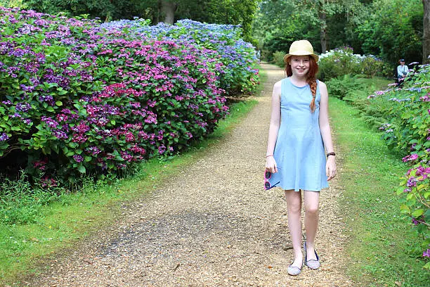 Photo showing a young girl, with long red hair, a blue dress and a straw hat, walking past a mass of lilac and pale blue flowers growing on a large hydrangea bushes (Hydrangea macrophylla) next to the garden path.  The mophead and lacecap hydrangeas are enjoying a shady part of the woodland garden, beneath some large trees that cast shade, and are pictured flowering in the middle of the summer.