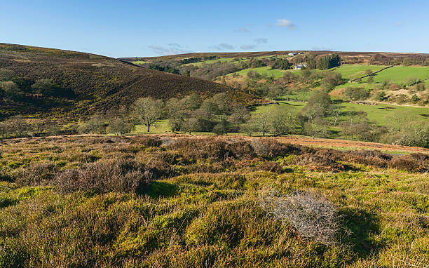 istock North York Moors in spring, Yorkshire, UK. 511011058