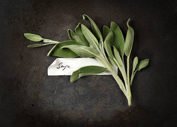 istock Sprigs of sage with manually signed paper label 511012766