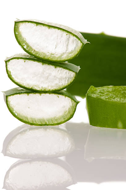 istock Aloe vera green fresh leafs sliced isolated over white background 511012812