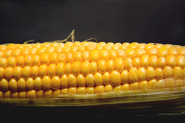 Corn and black background