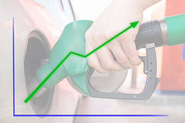bullish oil and petroleum