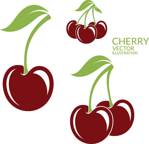 cherry. isolated berries on white background - kiraz illüstrasyonlar stock illustrations