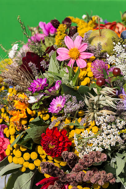 istock bouquets of flowers and herbs 511020632