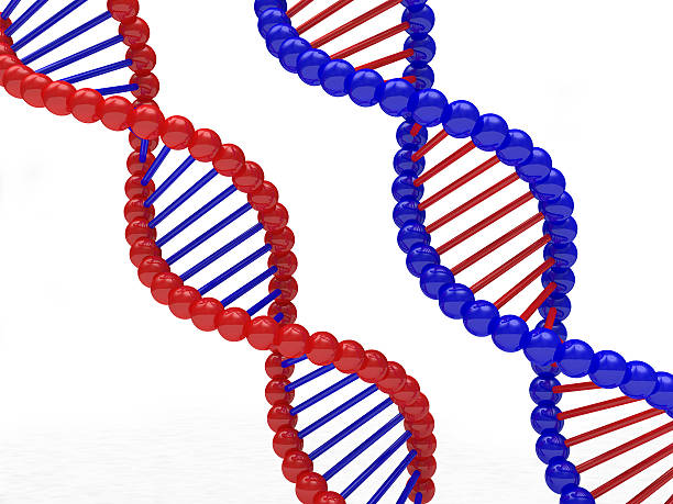 istock Abstract illustration of a DNA strings 511020894