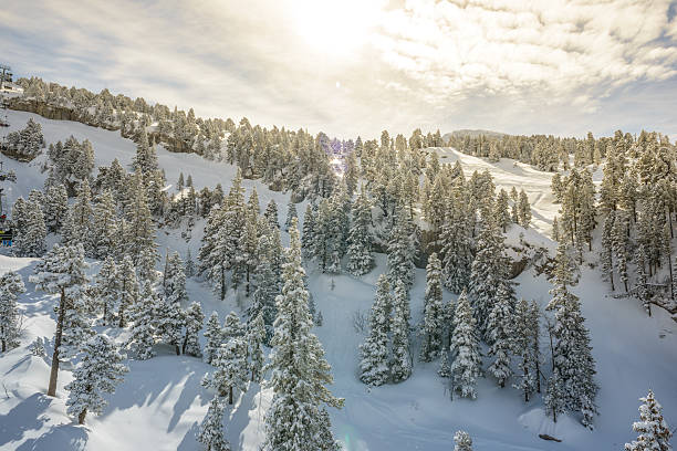 istock Winter Landscape with Snow and Trees 511023841
