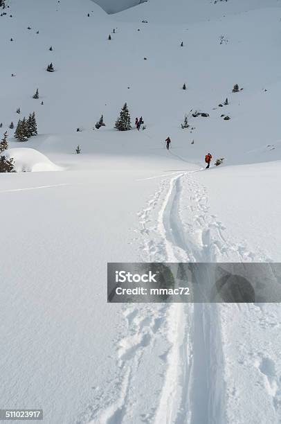 Winter Landscape With Snow And Trees Stock Photo - Download Image Now - Arctic, Back Country Skiing, Blue