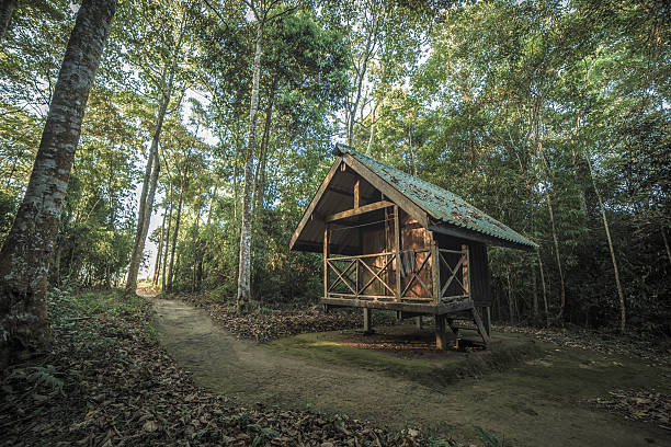 istock Cabin in the Woods 511024608