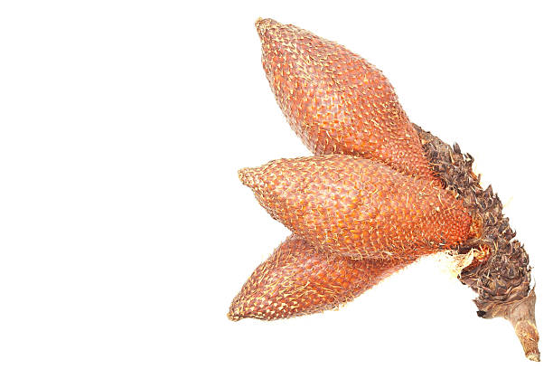 istock The Fruit With Snake Skin 511025157