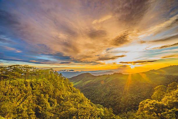 coucher de soleil sur la montagne avec la forêt tropicale - tropical rain forest flash photos et images de collection