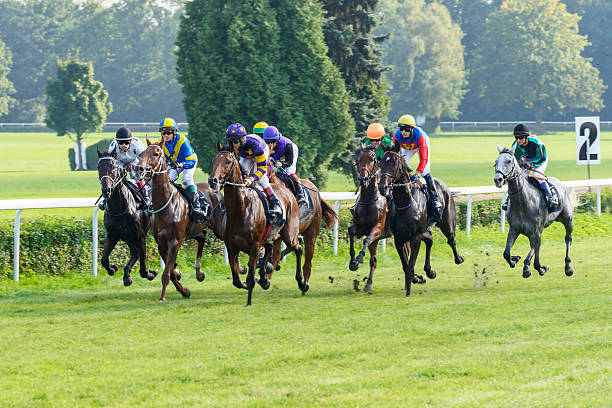 corrida de cavalos no caminho partynice. - photography running horizontal horse imagens e fotografias de stock