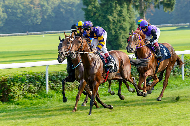 corrida de cavalos no caminho partynice. - photography running horizontal horse imagens e fotografias de stock