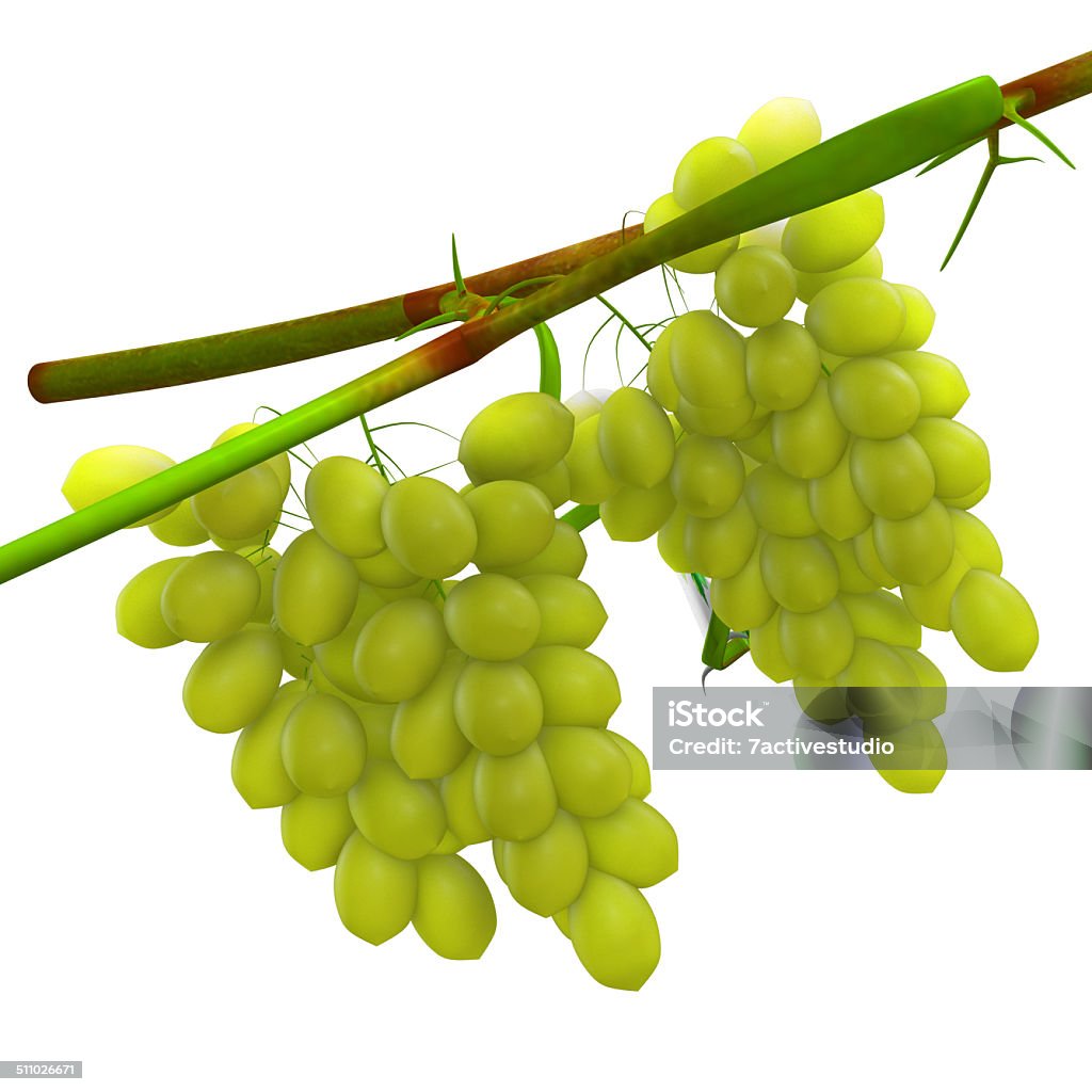 Grapes A grape is a fruiting berry of the deciduous woody vines of the botanical genus Vitis. Grapes can be eaten raw or they can be used for making wine, jam, juice, jelly, grape seed extract, raisins, vinegar, and grape seed oil. Agriculture Stock Photo