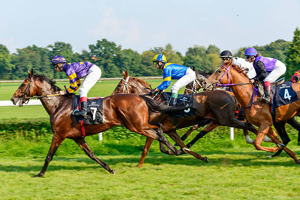 гонки лошади на partynice track. - photography running horizontal horse стоковые фото и изображения
