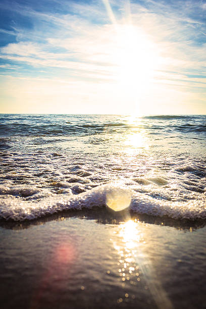 Beach Sunset stock photo