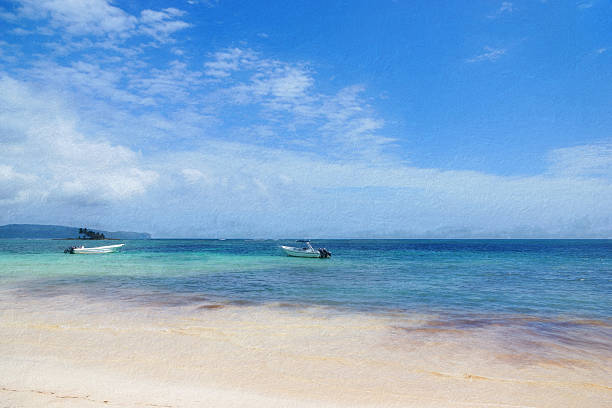 istock Digital art, paint effect,Playa rincon beach, Samana, Dominican Republic 511027268