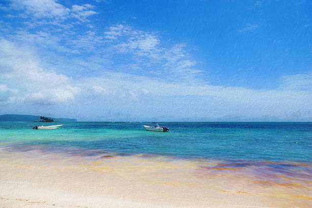 istock Digital art, paint effet, Virgin beach, Samana peninsula, Dominican Republic 511027342