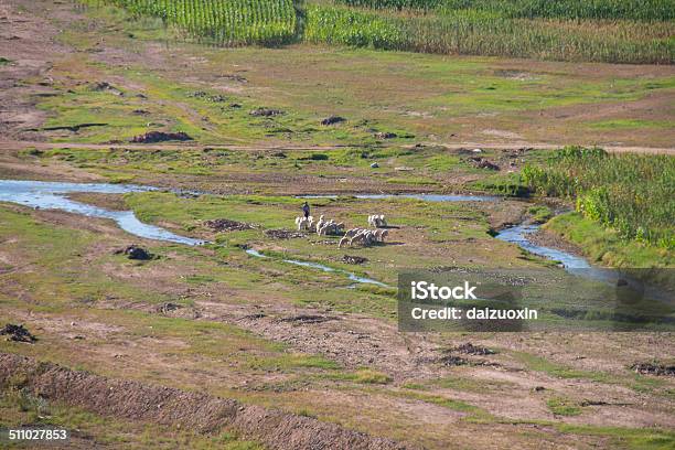 Foto de Leito De Rio e mais fotos de stock de Agricultura - Agricultura, Ajardinado, Aldeia