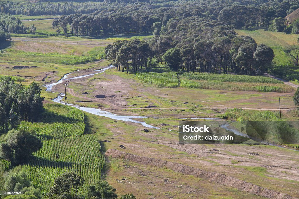 Leito de rio - Foto de stock de Agricultura royalty-free