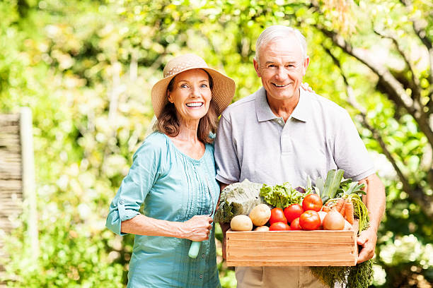 istock Happy Senior Couple With Freshly Harvested Vegetables 511028393