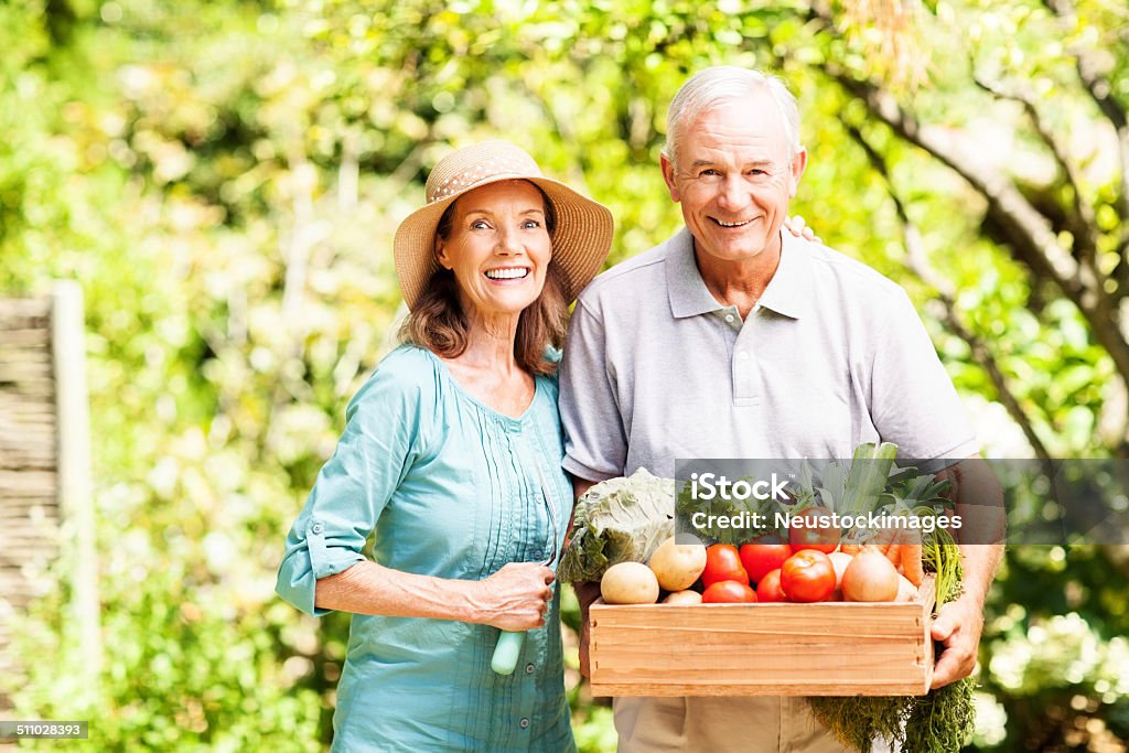 Happy Senior Couple With Freshly Harvested Vegetables Portrait of happy senior couple with freshly harvested vegetables in garden. Horizontal shot. Gardening Stock Photo