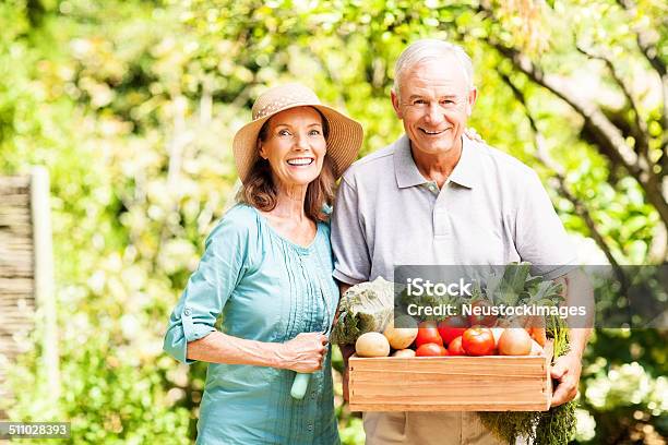 Happy Senior Couple With Freshly Harvested Vegetables Stock Photo - Download Image Now