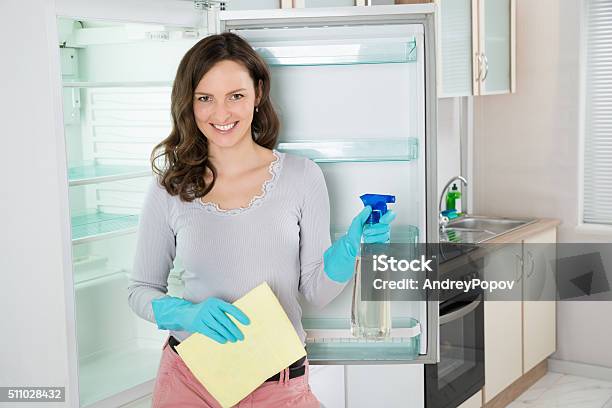 Woman With Rag And Spray Bottle Near The Fridge Stock Photo - Download Image Now - Adult, Appliance, Bottle