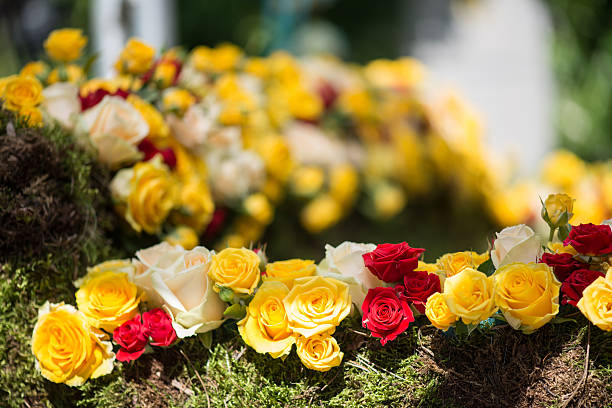istock Beauty of roses 511028901