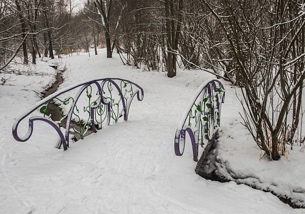 на пешеходный мост через залив в городском парке зимой. - winter stream river snowing стоковые фото и изображения