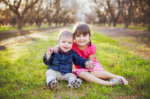 Four Year old big sister wrapped her arm around baby brother. They are sitting and smiling at the camera at the almond orchards.