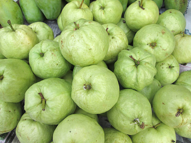 istock Guava fruit in the market 511030377