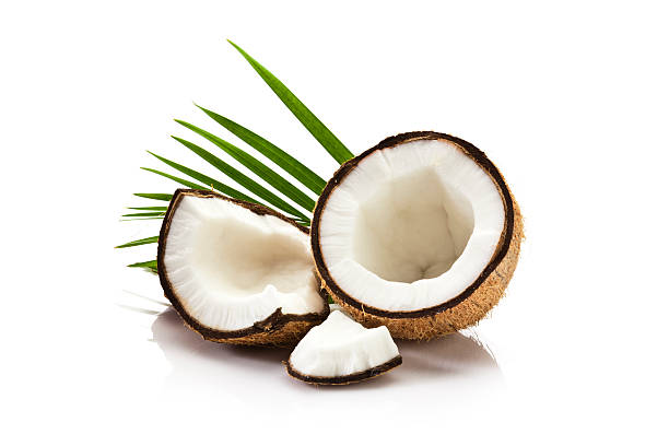 Coconut fruit isolated on white background Coconut fruit and palm leaf isolated on white background coconut palm tree stock pictures, royalty-free photos & images