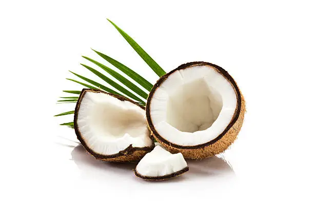 Coconut fruit and palm leaf isolated on white background