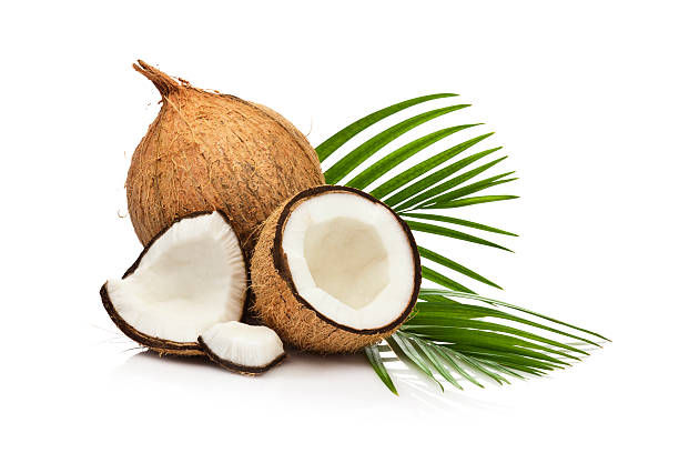 Coconut fruit isolated on white background Coconut fruit and palm leaf isolated on white background coconut palm tree stock pictures, royalty-free photos & images