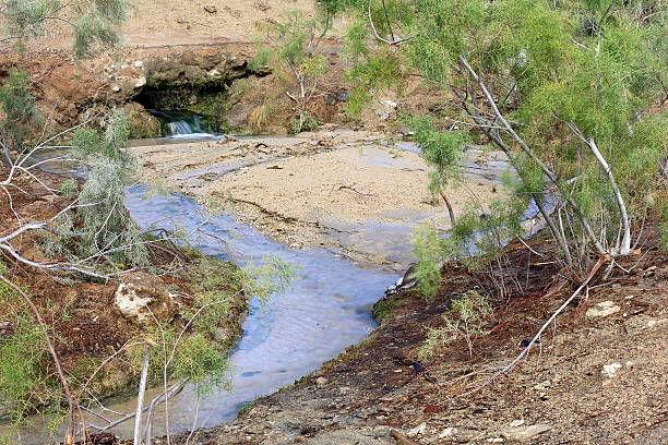 natürlichen heißen quellen neben dem lake afrera. danakil-äthiopien. 0165 - afar desert stock-fotos und bilder