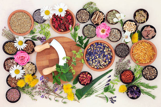 istock Natural Flower and Herb Medicine 511032640