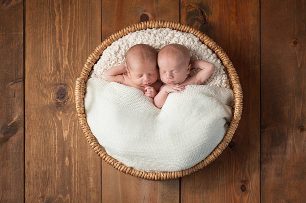 Twin Baby Boys Sleeping in a Basket stock photo