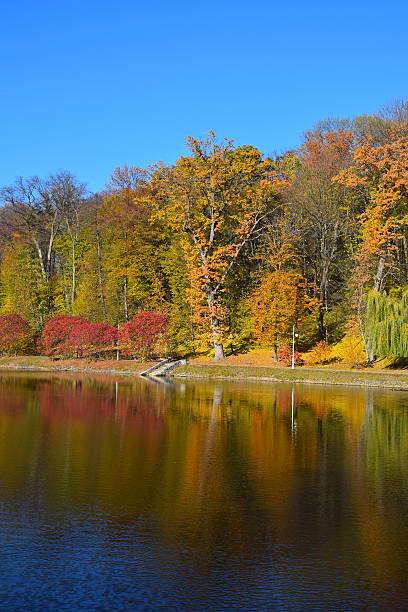 istock Colorful autumn trees with water reflection 511056212