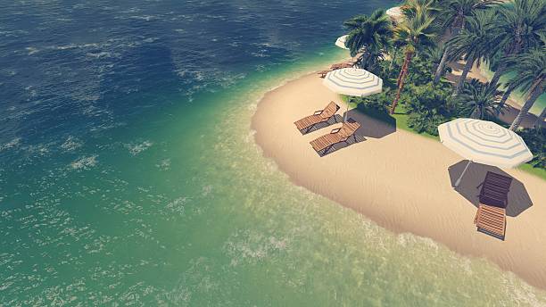 istock Sunbeds, parasols and palms on tropical beach 511056628