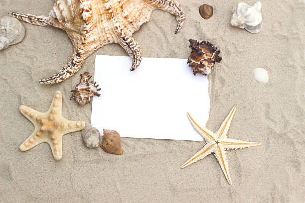 istock blank paper on beach sand summer starfish 511059150