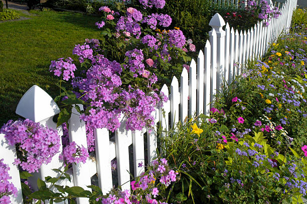 istock White Picket Fence with Phlox and Wildflowers 511059438