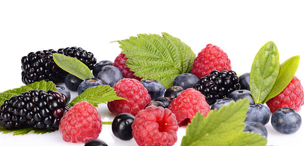 istock Assortment of various berries isolated white 511059645