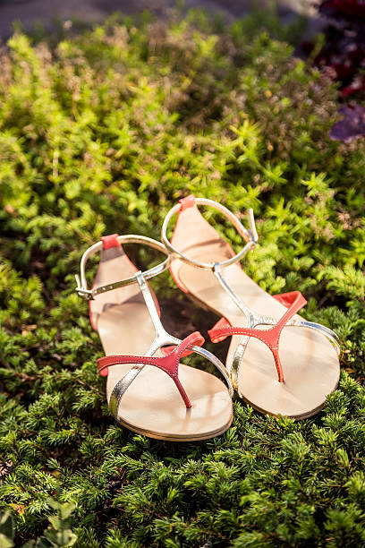 istock Women summer sandals lie on the grass 511060429
