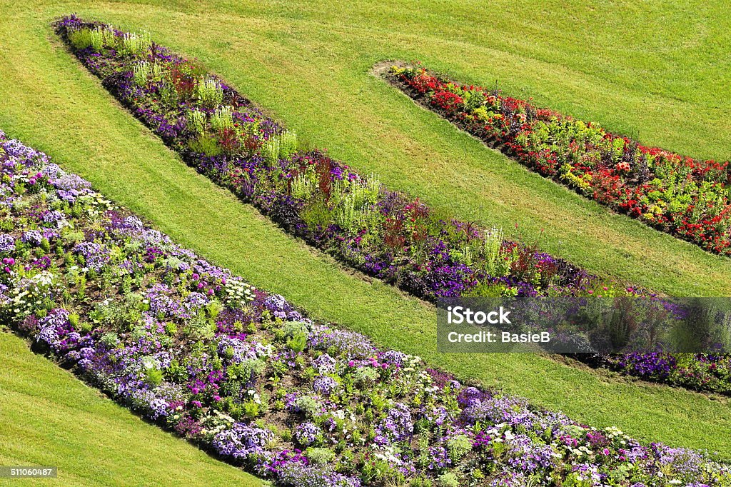 Flower garden im Sommer - Lizenzfrei Petunie Stock-Foto